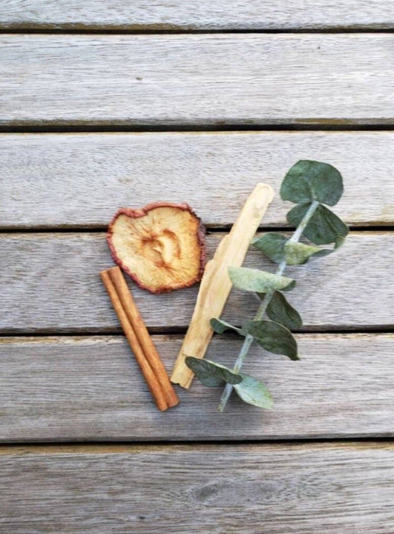 Eucalyptus, Palo Santo, Apple and Cinnamon Smoke Bundle