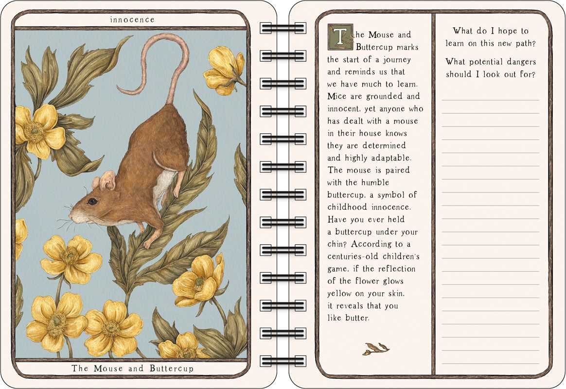 Open notebook with illustration of a mouse and buttercup surrounded by flowers, and text on the right page.
