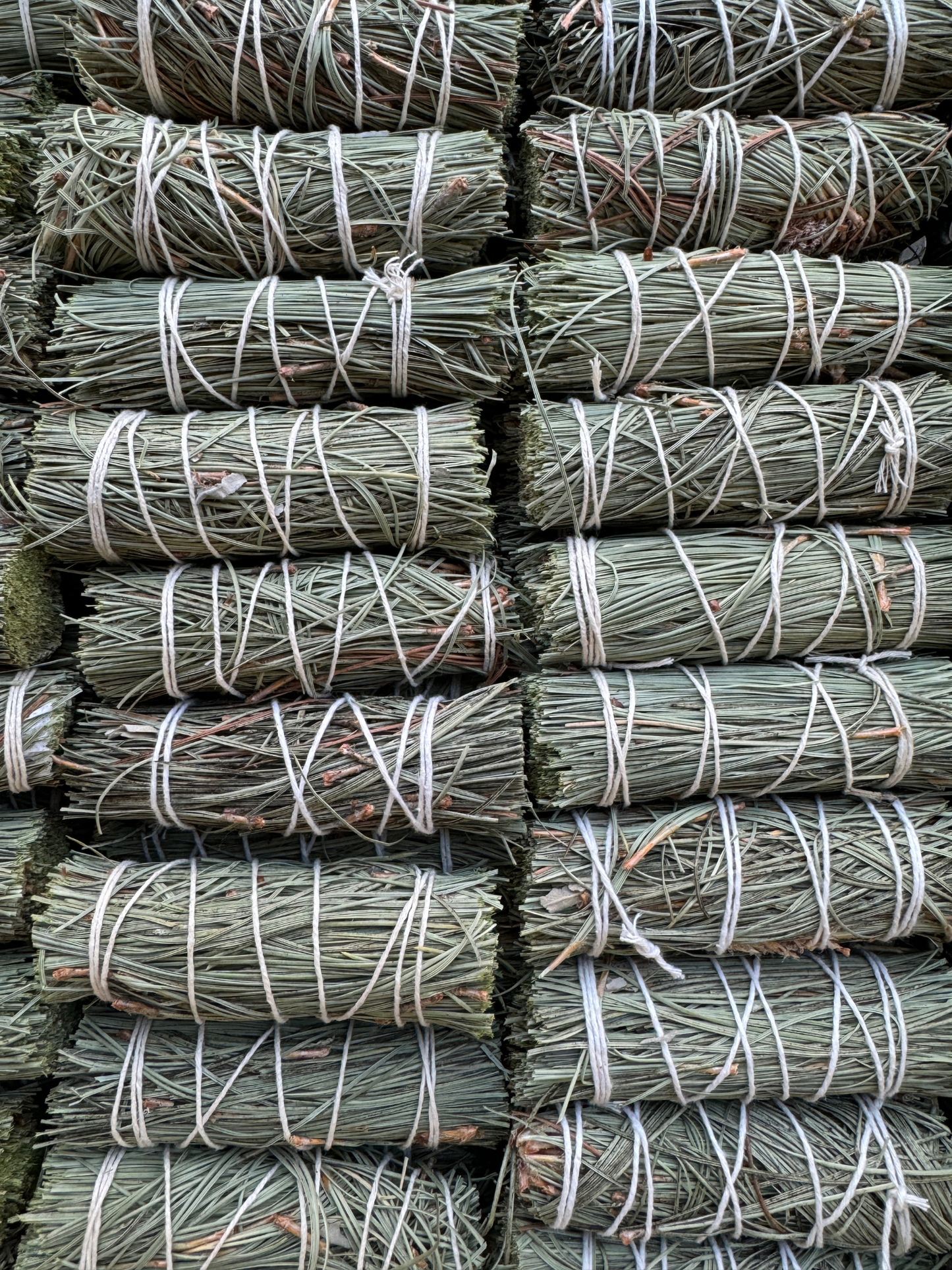 Pine Smoke Bundle
