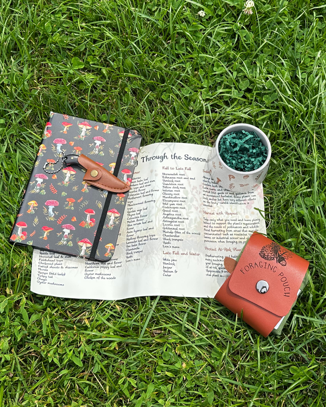 Foraging Box