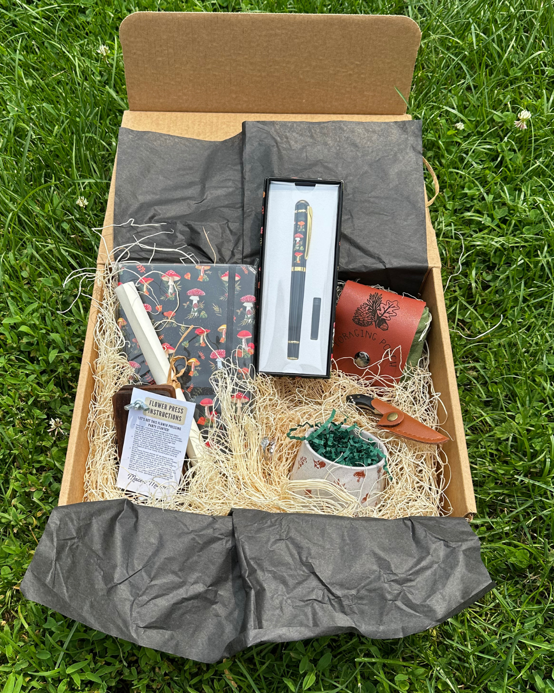 Foraging Box