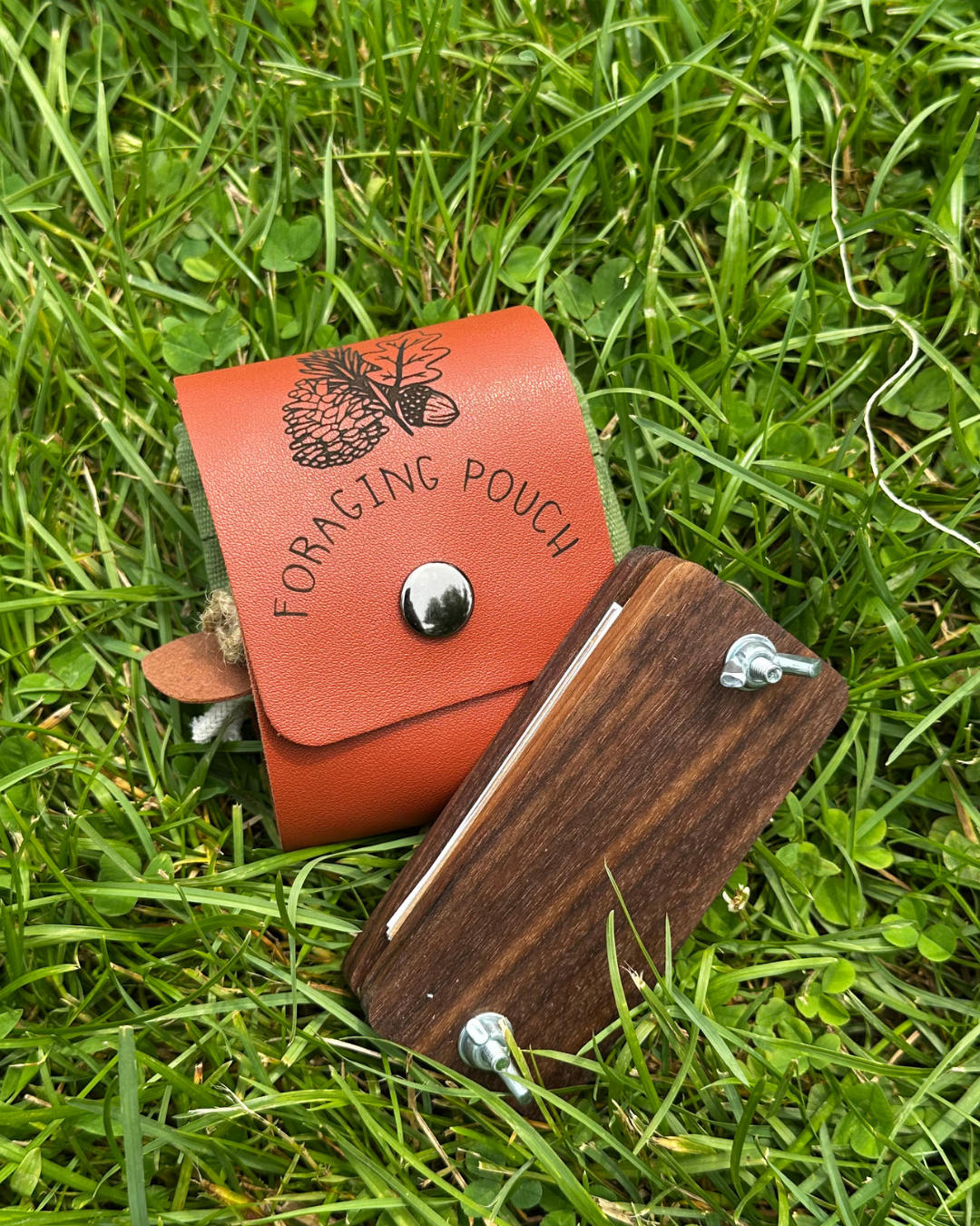 Foraging Box