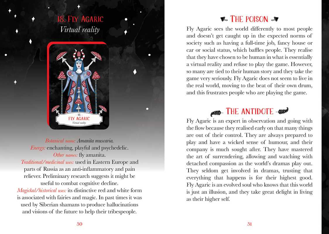 Fly Agaric Card
