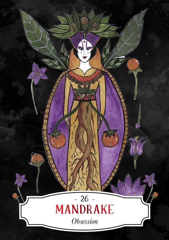Mandrake
