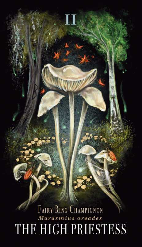 The High Priestess