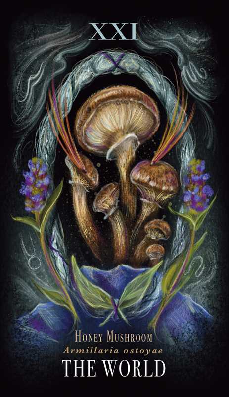 The World Tarot Card