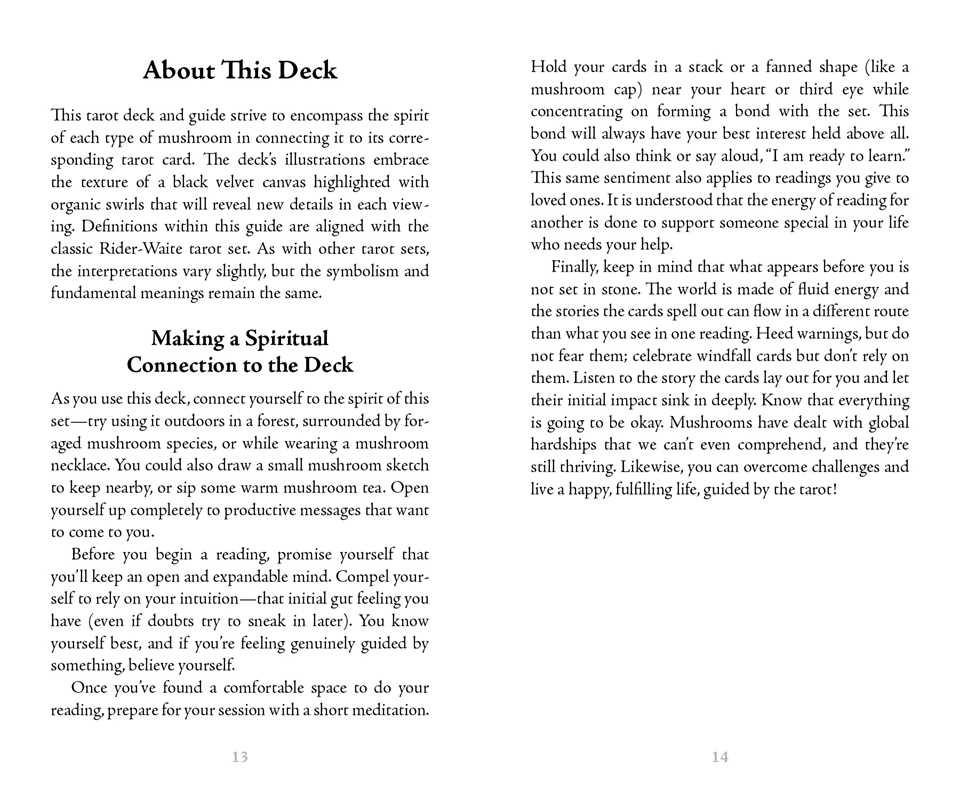 Midnight Magic Tarot Guidebook