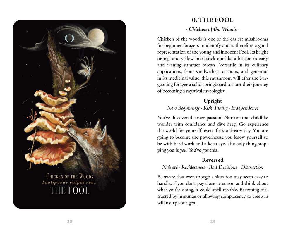 The Fool Tarot Card