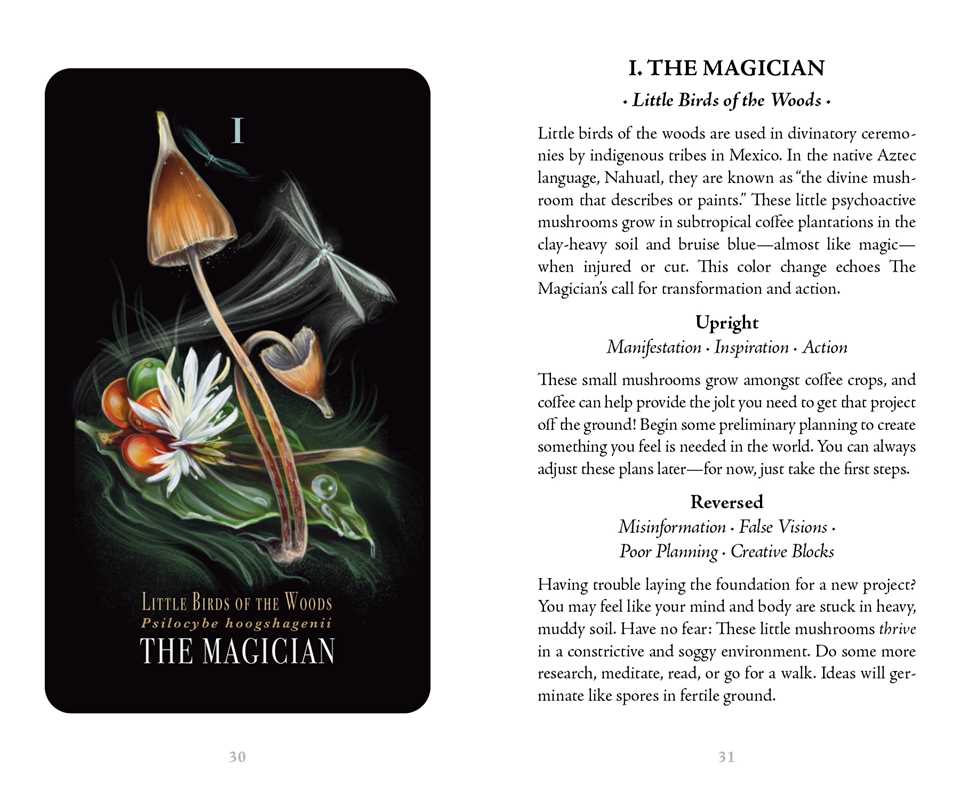 The Magician Tarot Card
