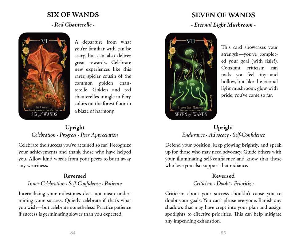 6 & 7 of Wands Tarot Cards