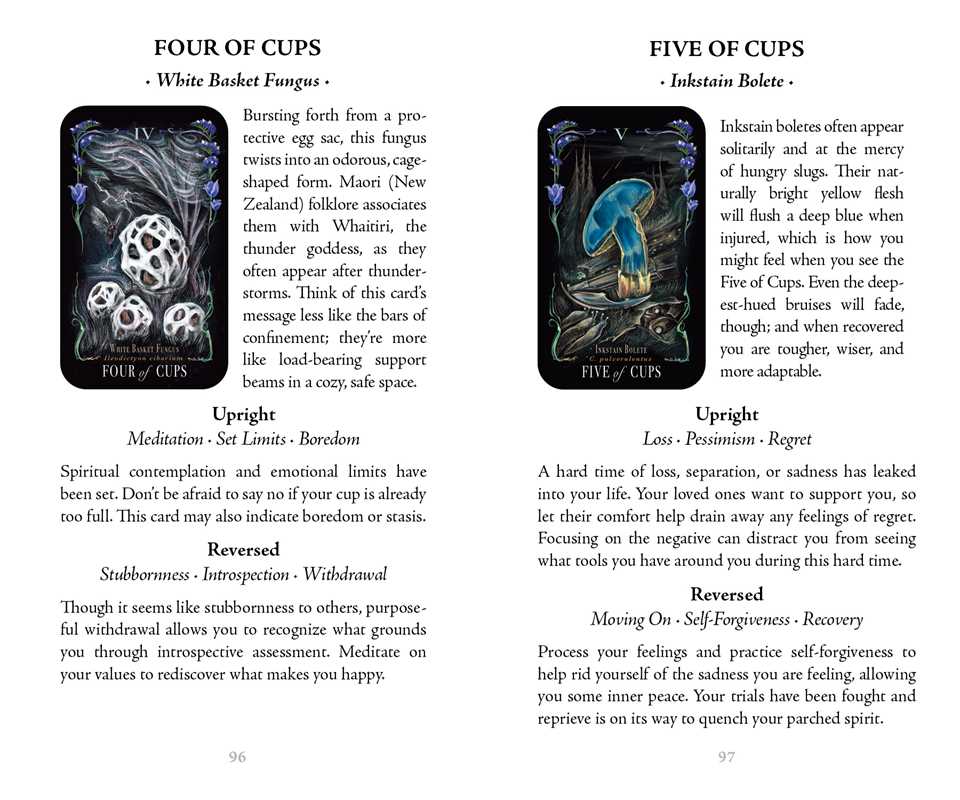 Cups Tarot Cards