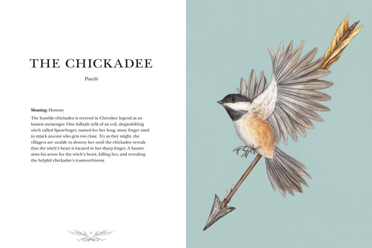 Illustration of a chickadee on an arrow with descriptive text on a light blue background