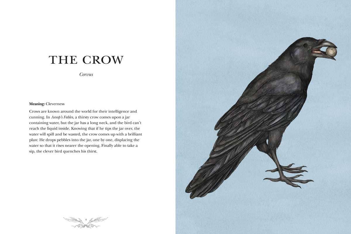 Illustration of a crow on a light blue background with text on the left side.