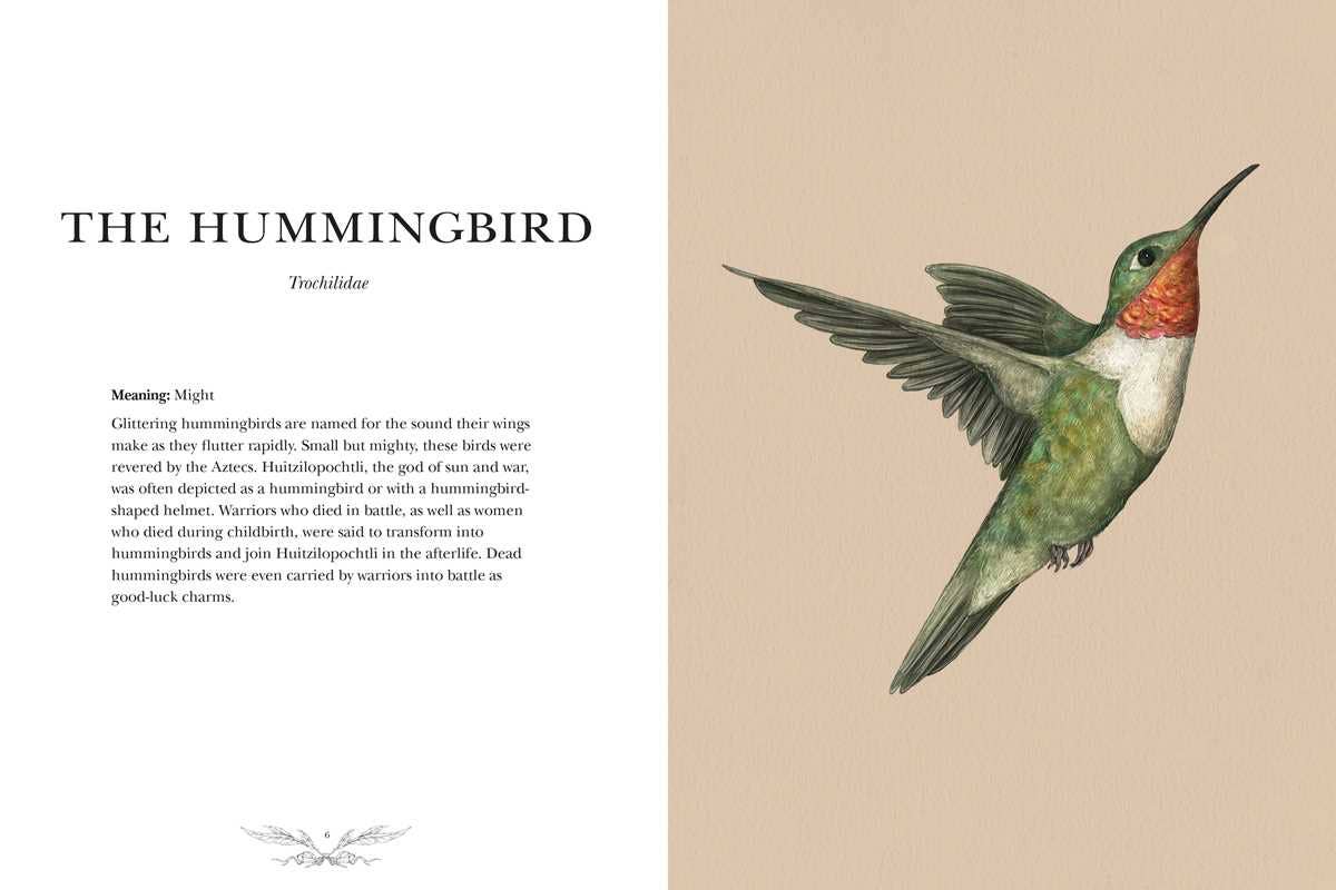 Illustration of a hummingbird with text on a beige background