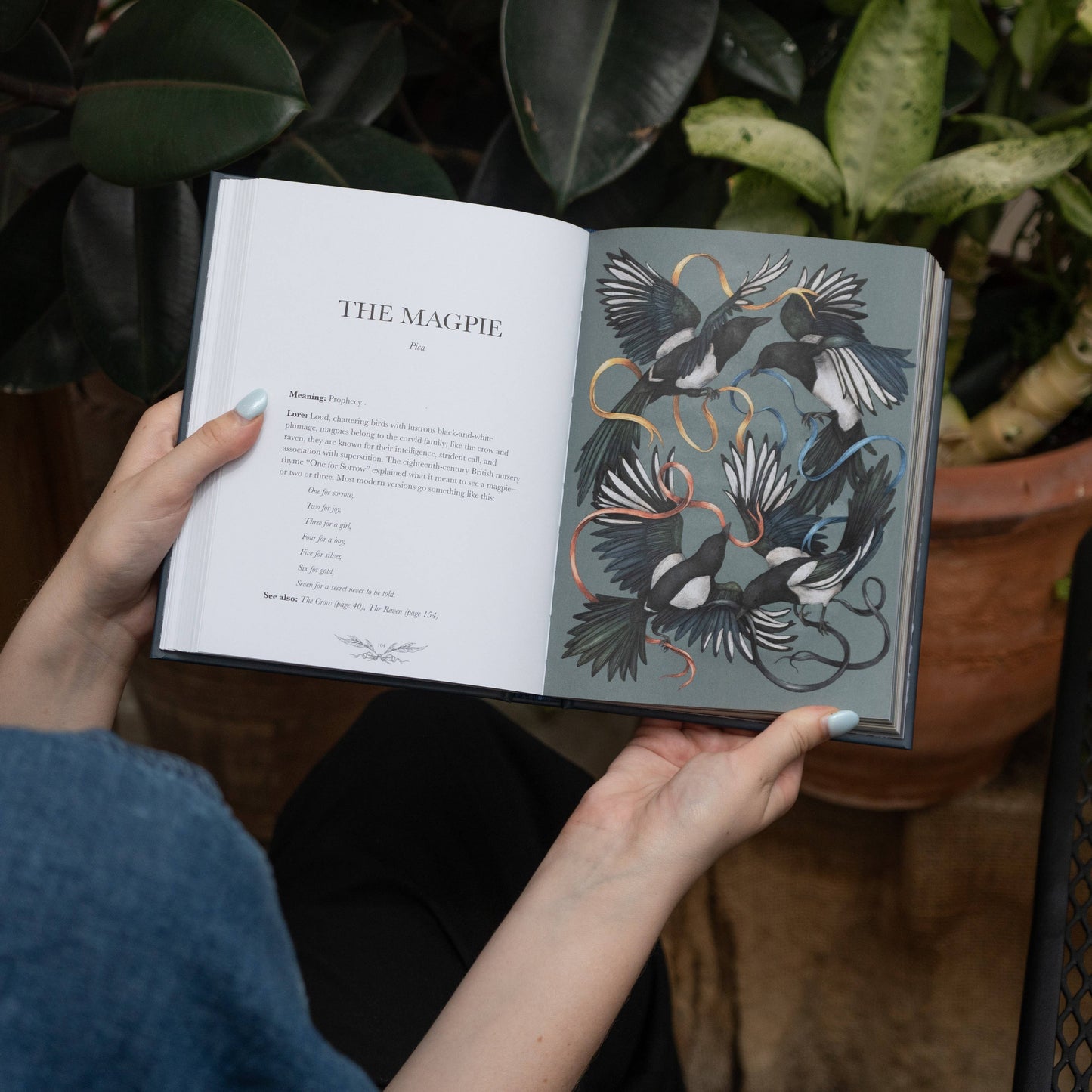 Person holding a book open to a page with detailed illustrations of magpies.