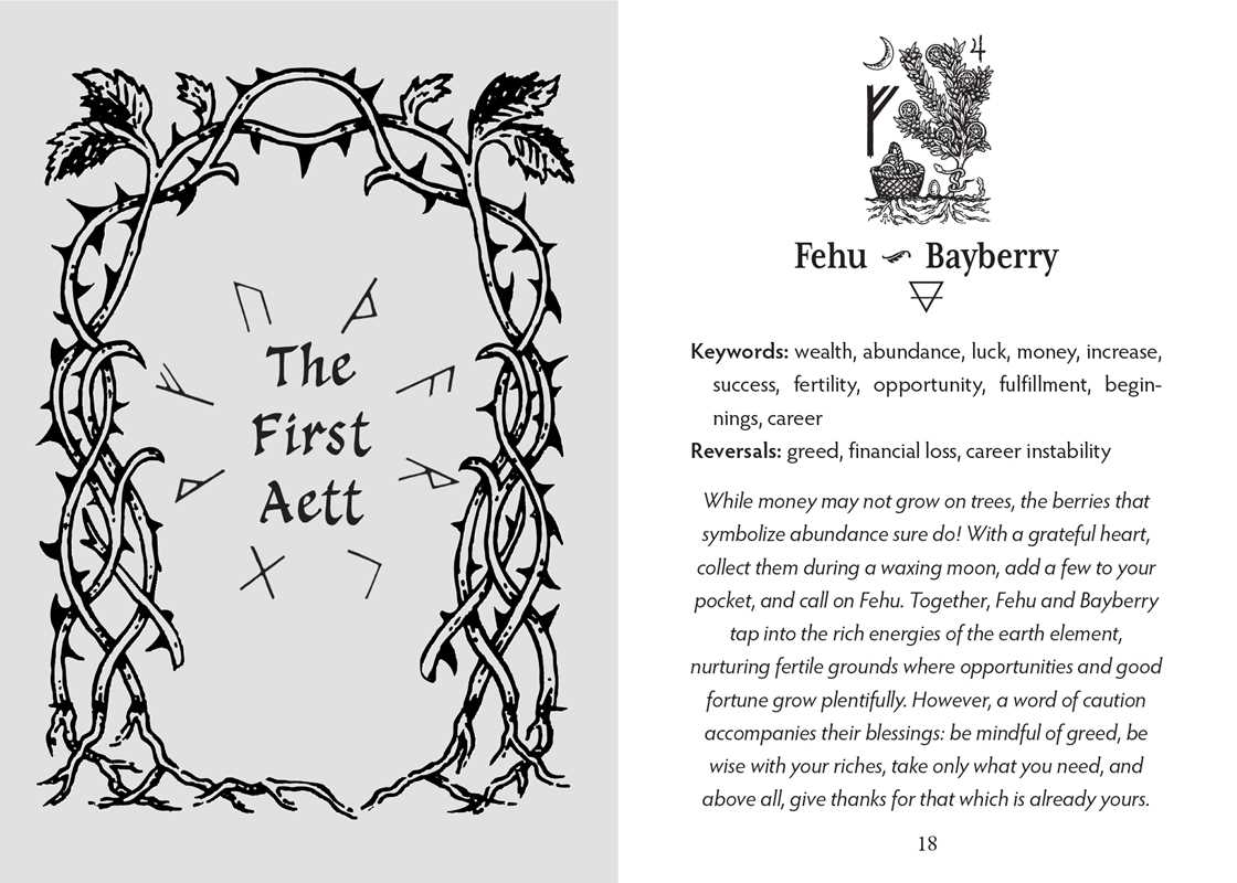 Page from a book or guide featuring 'The First Aett' with decorative text and symbols on a white background.