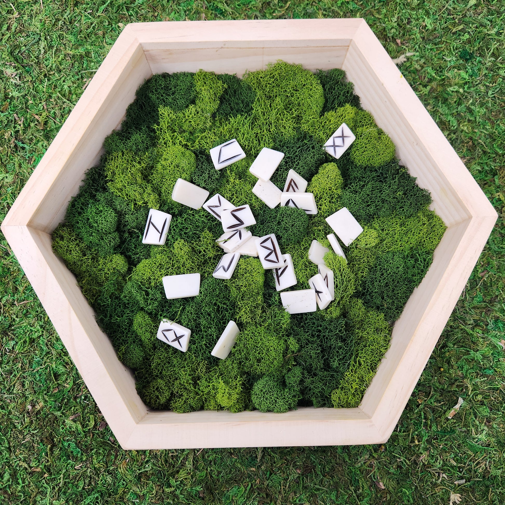 A wooden box filled with green moss and white bone runes arranged on top.