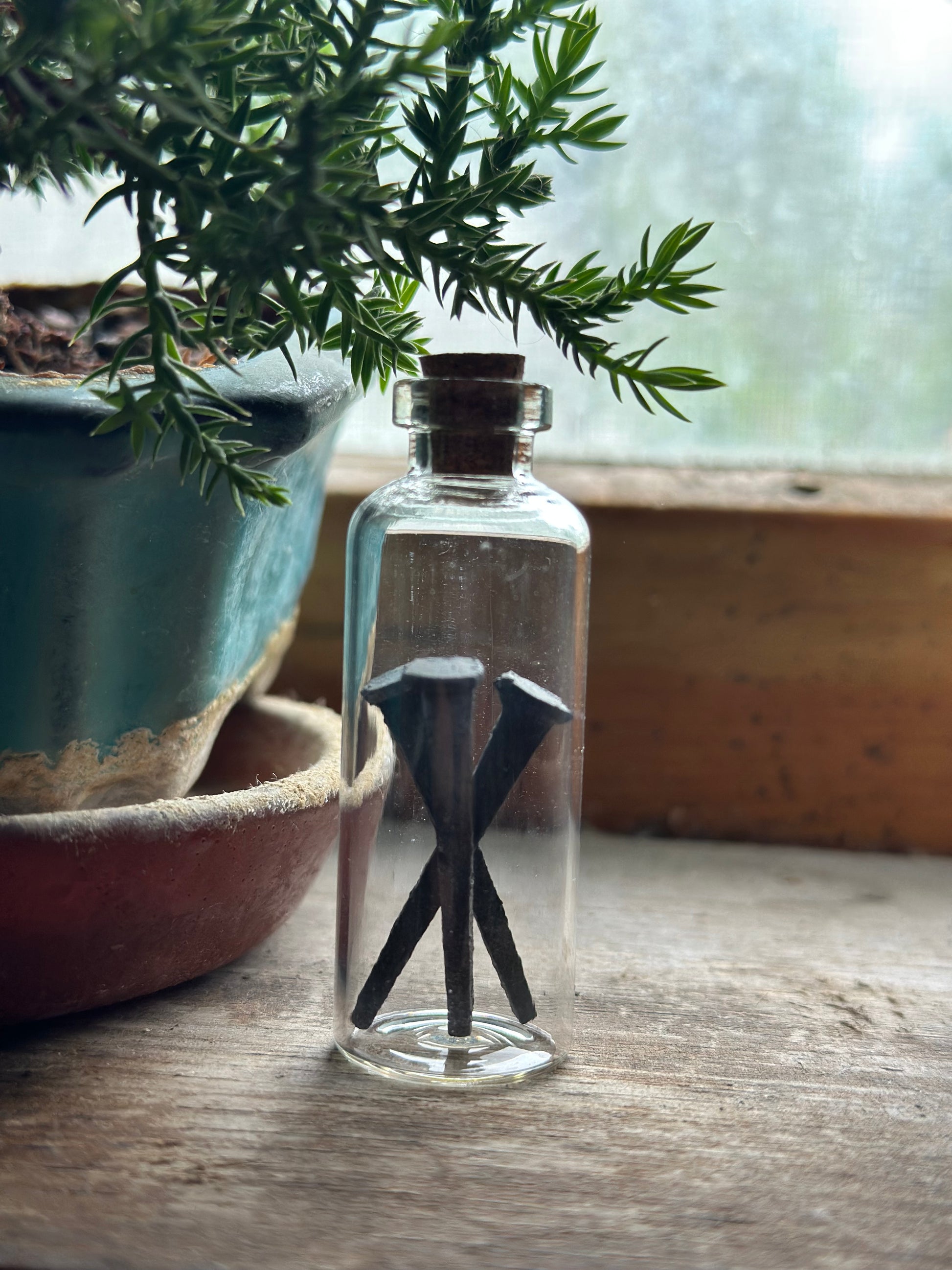 Clear glass bottle with vintage forged iron nails inside on a wooden surface with plants in the background